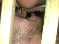 wrecked ass feeding